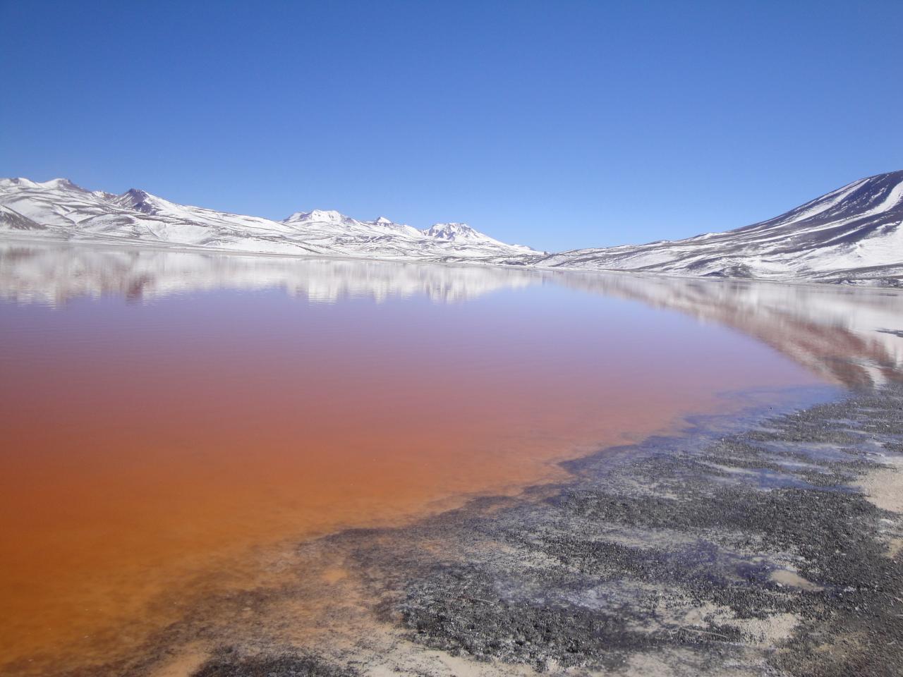 Laguna colorada Salar d'Uyuni Bolivie